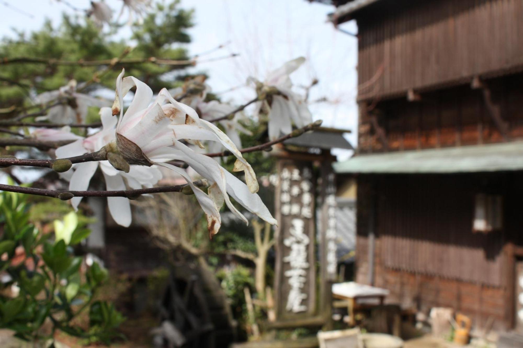 Magome Chaya Hotel นาคัตสึกาวะ ภายนอก รูปภาพ
